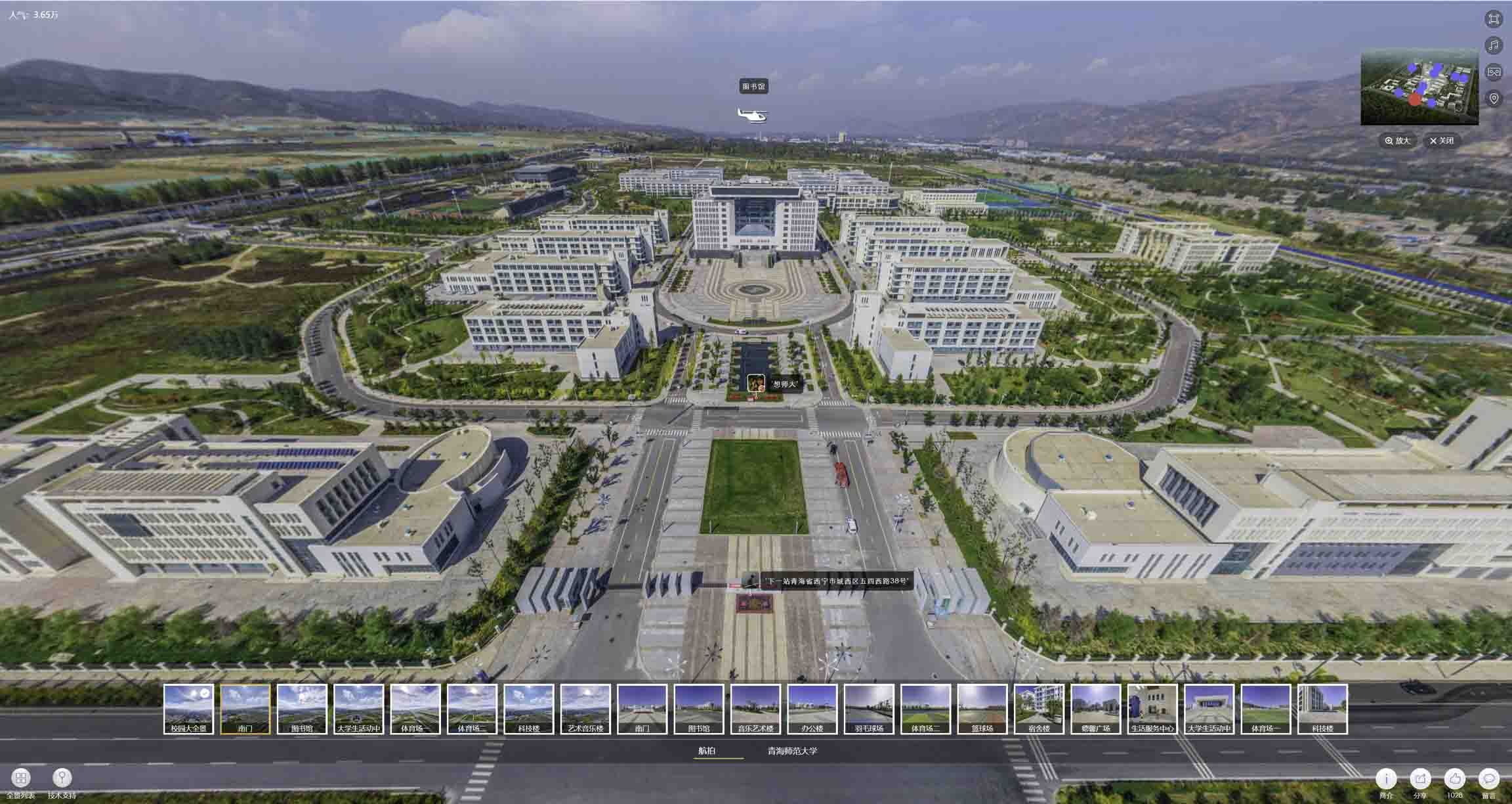 卫滨油菜花-惊艳半生的花海仙境